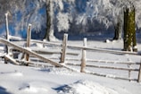 A wooden fence is covered in a thick layer of snow, set in a winter landscape with snow-blanketed ground and frost-coated trees in the background.