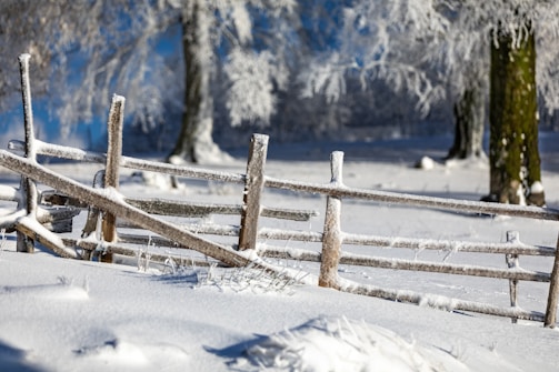 A wooden fence is covered in a thick layer of snow, set in a winter landscape with snow-blanketed ground and frost-coated trees in the background.