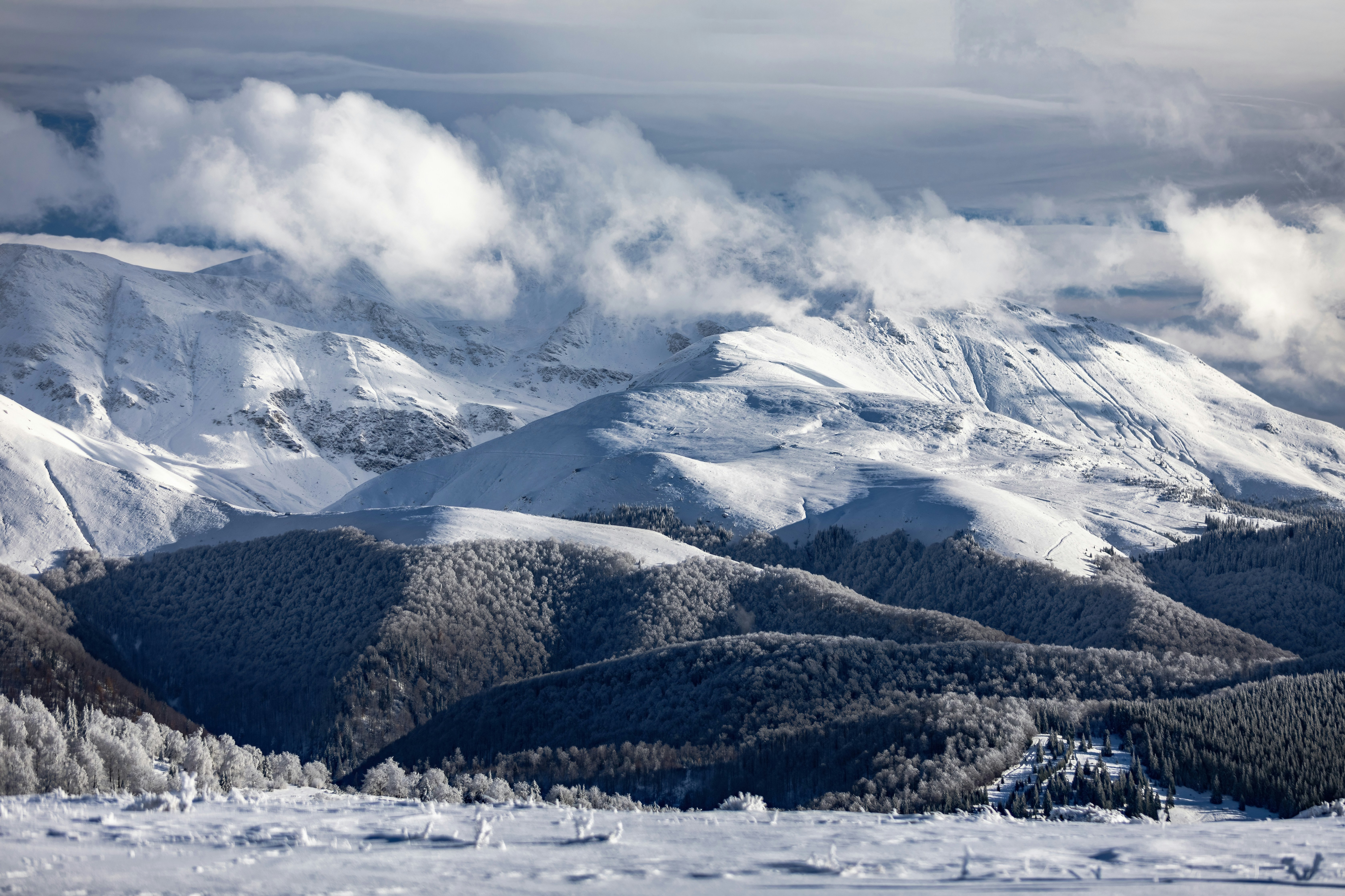 Photo by ovidiugruescu