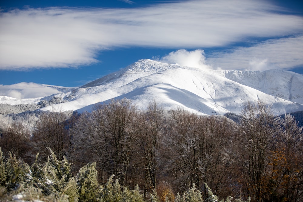 a snow covered mountain with trees in the foreground