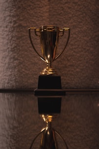 A shiny golden trophy with two handles resting on a black base is prominently displayed. The surface beneath provides a reflective view, adding depth to the composition. The background is textured and softly lit, offering a contrast to the gleaming trophy.