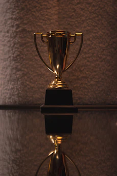 Close-up of a gold trophy with a blue ribbon on a wooden desk beside academic papers.