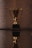 A shiny golden trophy with two handles resting on a black base is prominently displayed. The surface beneath provides a reflective view, adding depth to the composition. The background is textured and softly lit, offering a contrast to the gleaming trophy.