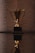 A shiny golden trophy with two handles resting on a black base is prominently displayed. The surface beneath provides a reflective view, adding depth to the composition. The background is textured and softly lit, offering a contrast to the gleaming trophy.