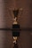 A shiny golden trophy with two handles resting on a black base is prominently displayed. The surface beneath provides a reflective view, adding depth to the composition. The background is textured and softly lit, offering a contrast to the gleaming trophy.
