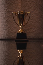 A shiny golden trophy with two handles resting on a black base is prominently displayed. The surface beneath provides a reflective view, adding depth to the composition. The background is textured and softly lit, offering a contrast to the gleaming trophy.
