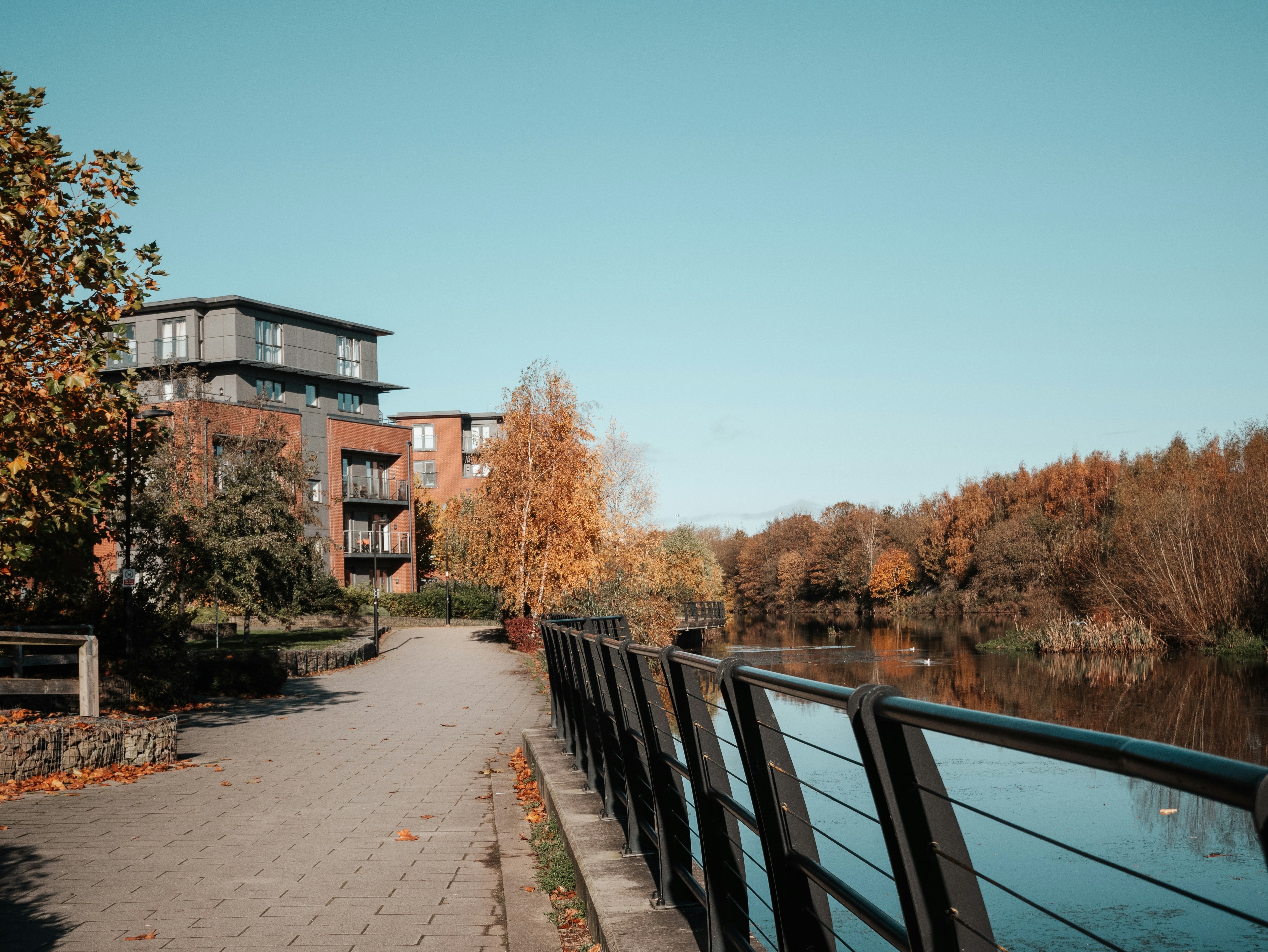 Choose from a curated selection of autumn wallpapers for your mobile and desktop screens. Always free on Unsplash.