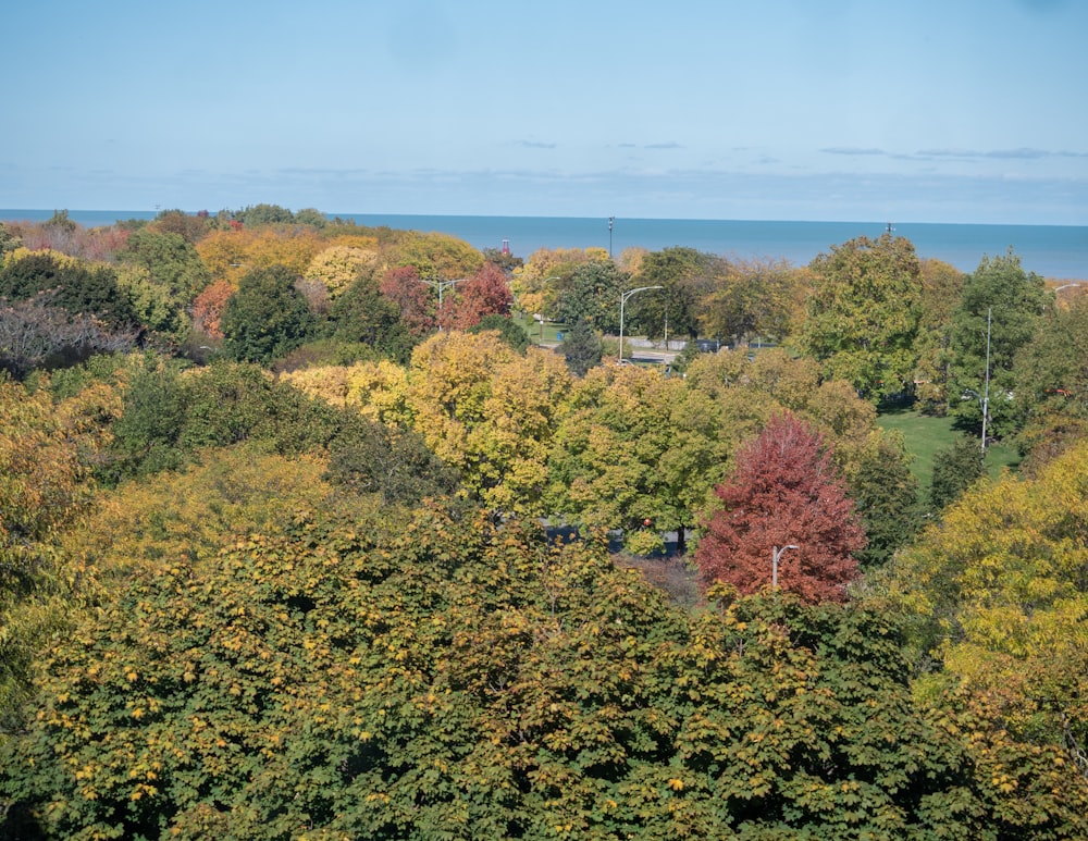 a view of the ocean from a hill top