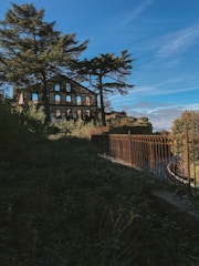 An old, abandoned building with visible window frames is partially covered in shadows. Tall pine trees surround the structure, and foliage overtakes the area. A metal fence runs along a path, leading toward the house. The sky above is clear with some clouds, creating a serene yet slightly eerie atmosphere.