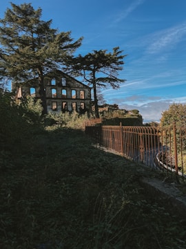 An old, abandoned building with visible window frames is partially covered in shadows. Tall pine trees surround the structure, and foliage overtakes the area. A metal fence runs along a path, leading toward the house. The sky above is clear with some clouds, creating a serene yet slightly eerie atmosphere.
