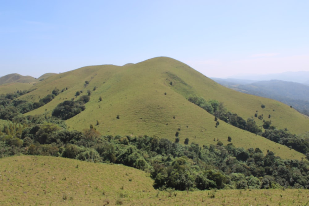 a grassy hill with trees on top of it