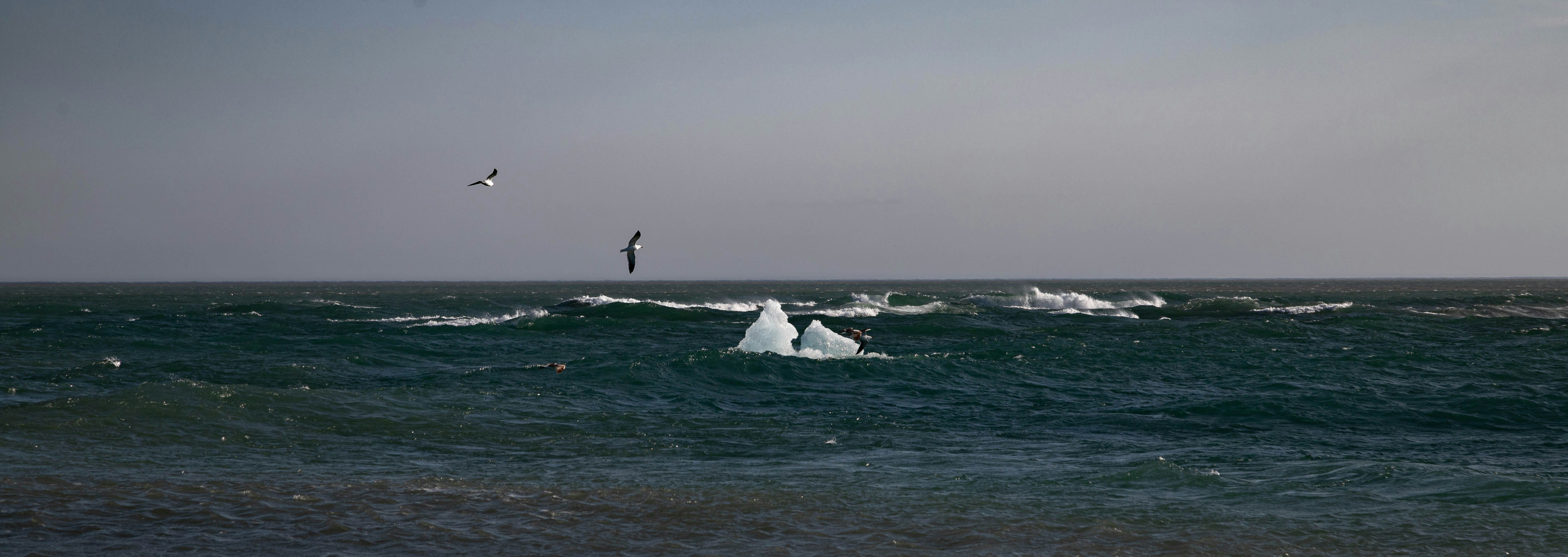Photo by hdbernd
