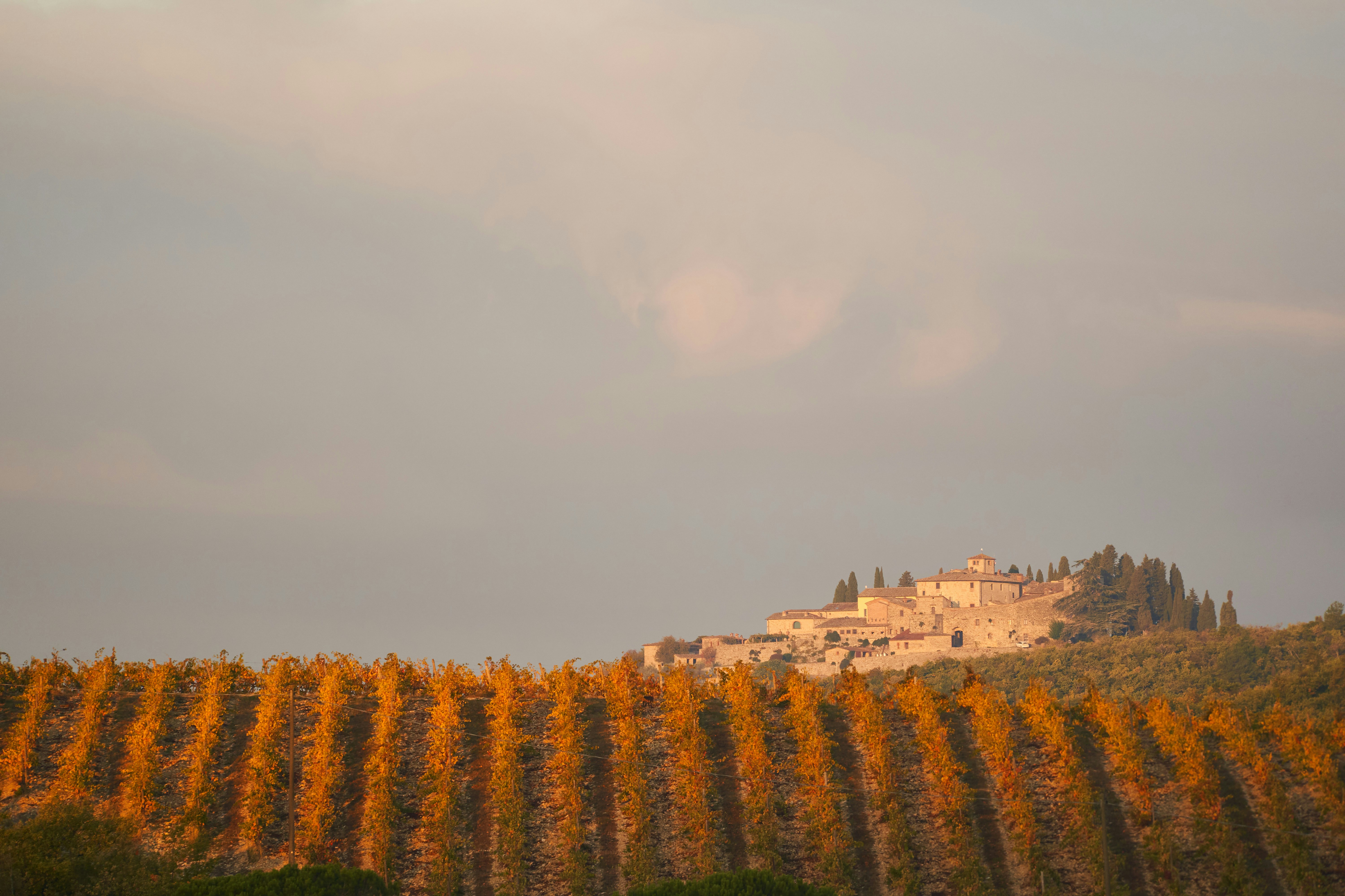 Photo by wolfgang_hasselmann