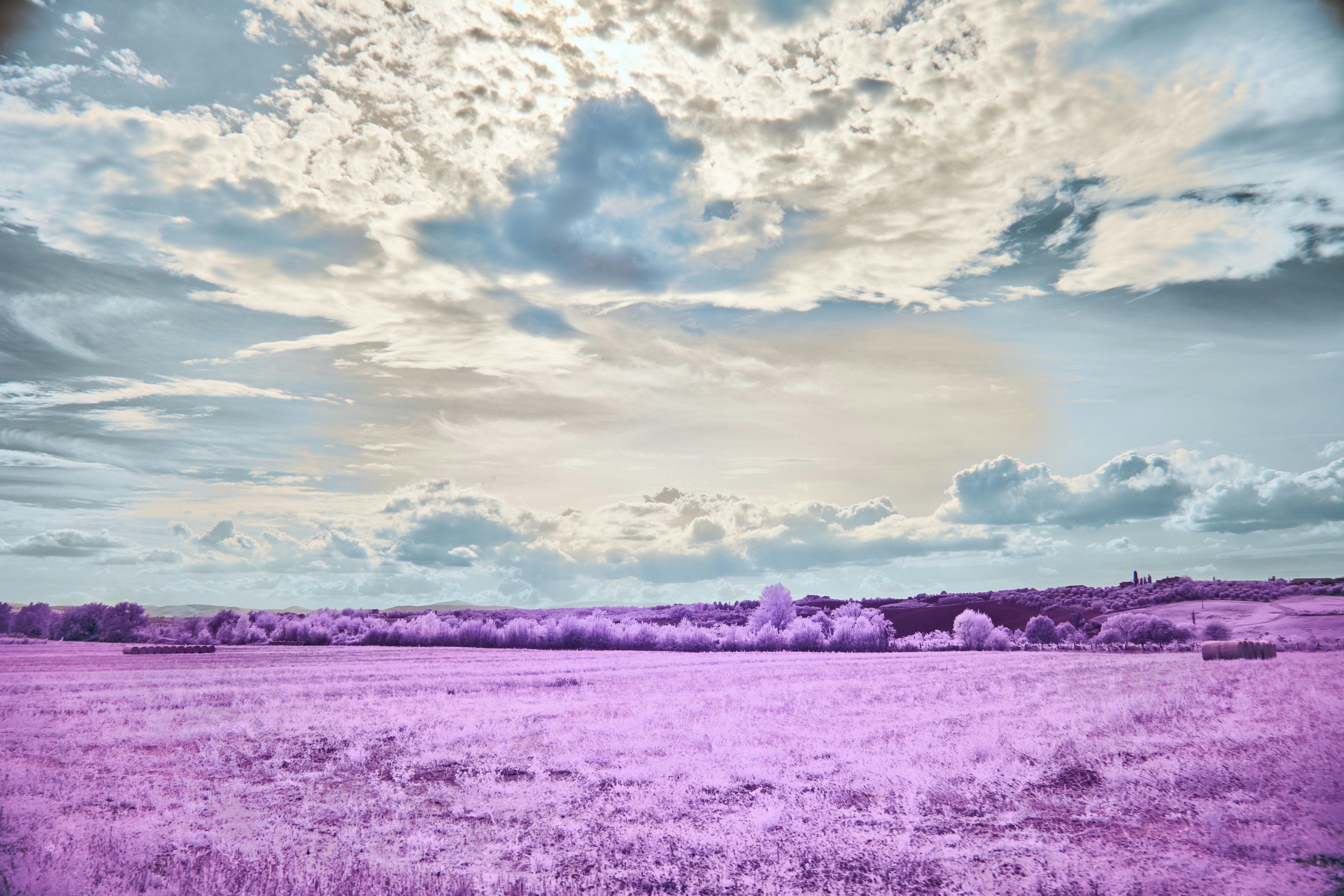 Photo by wolfgang_hasselmann