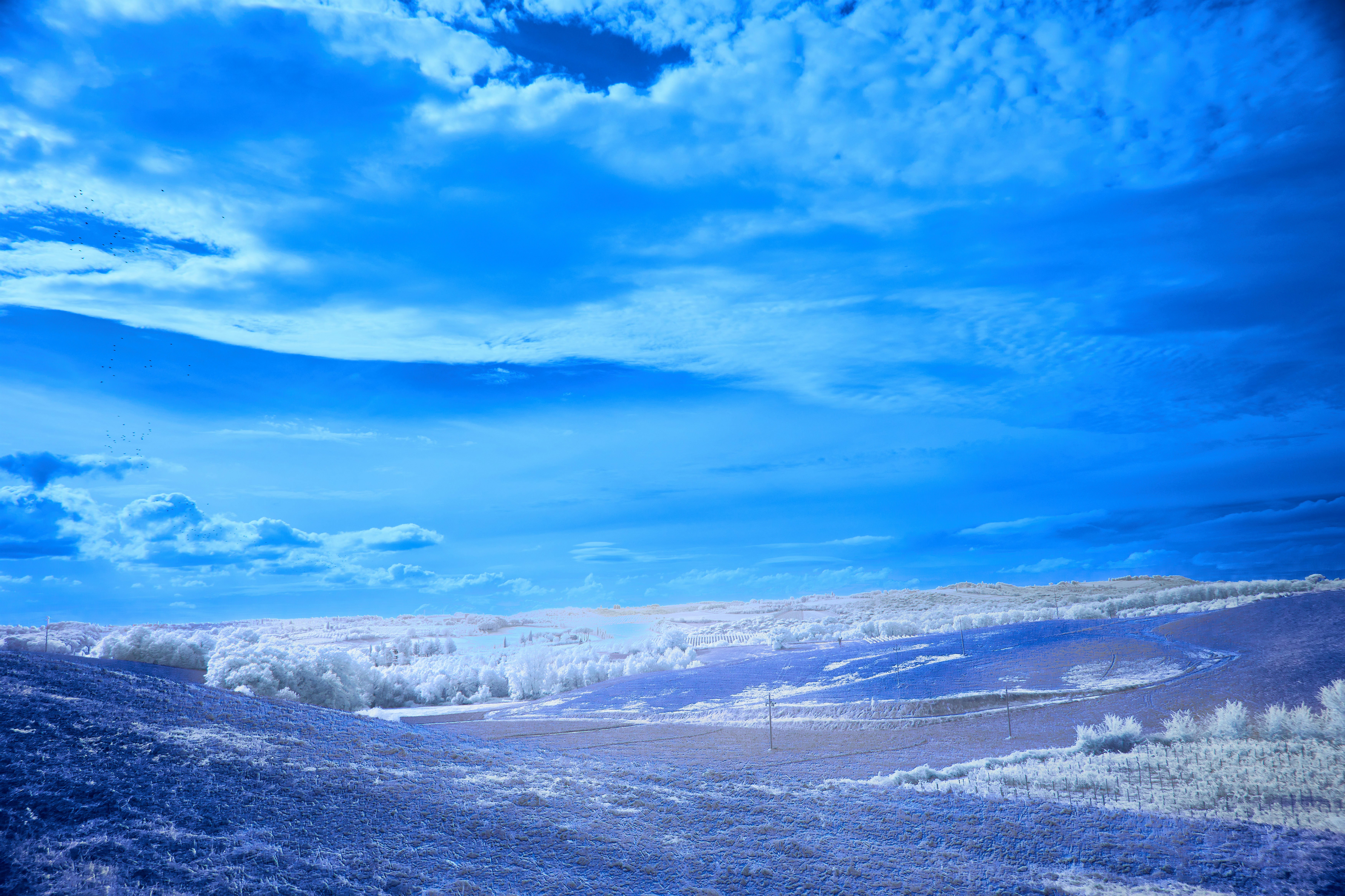 Photo by wolfgang_hasselmann