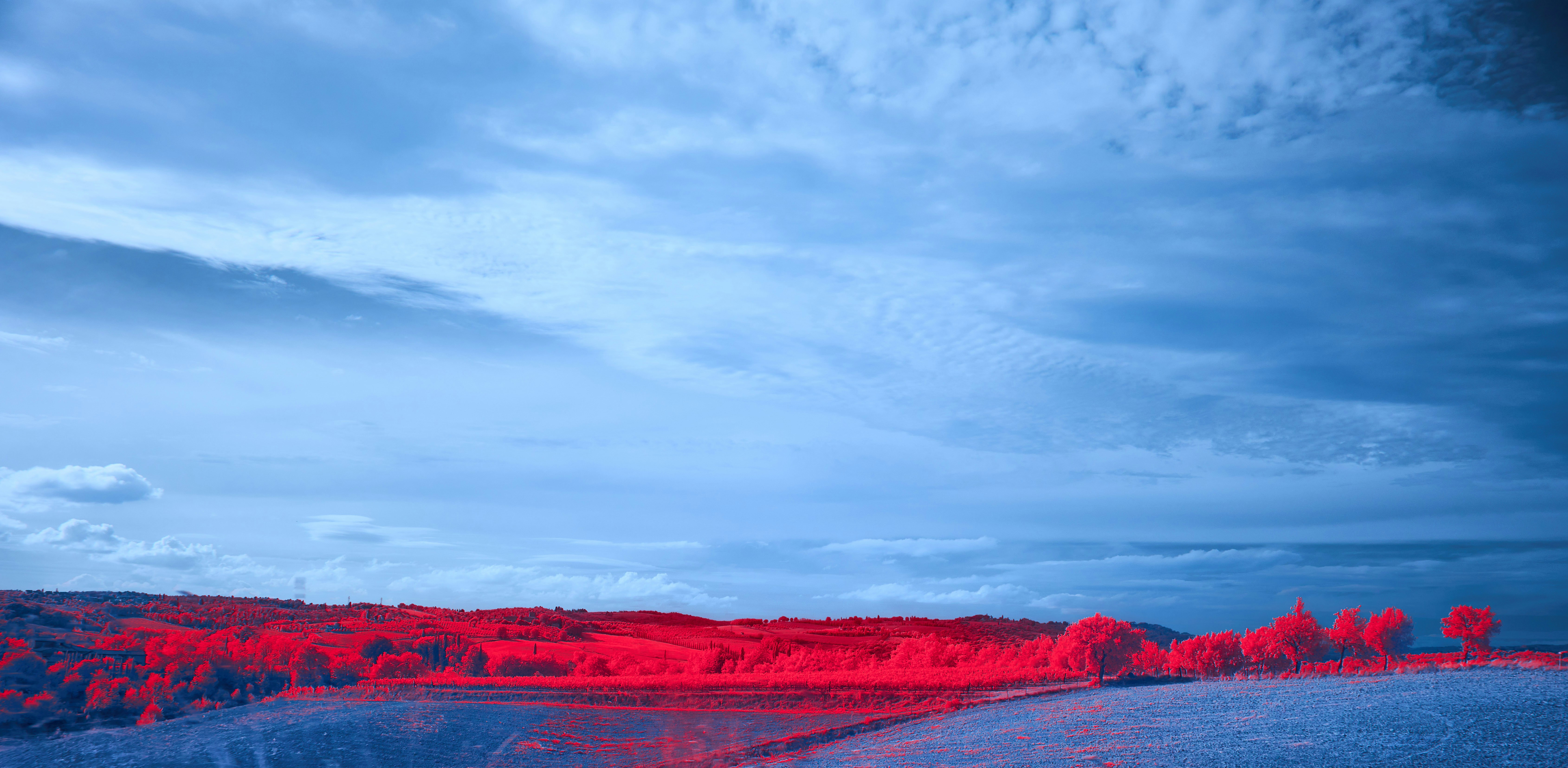 Photo by wolfgang_hasselmann