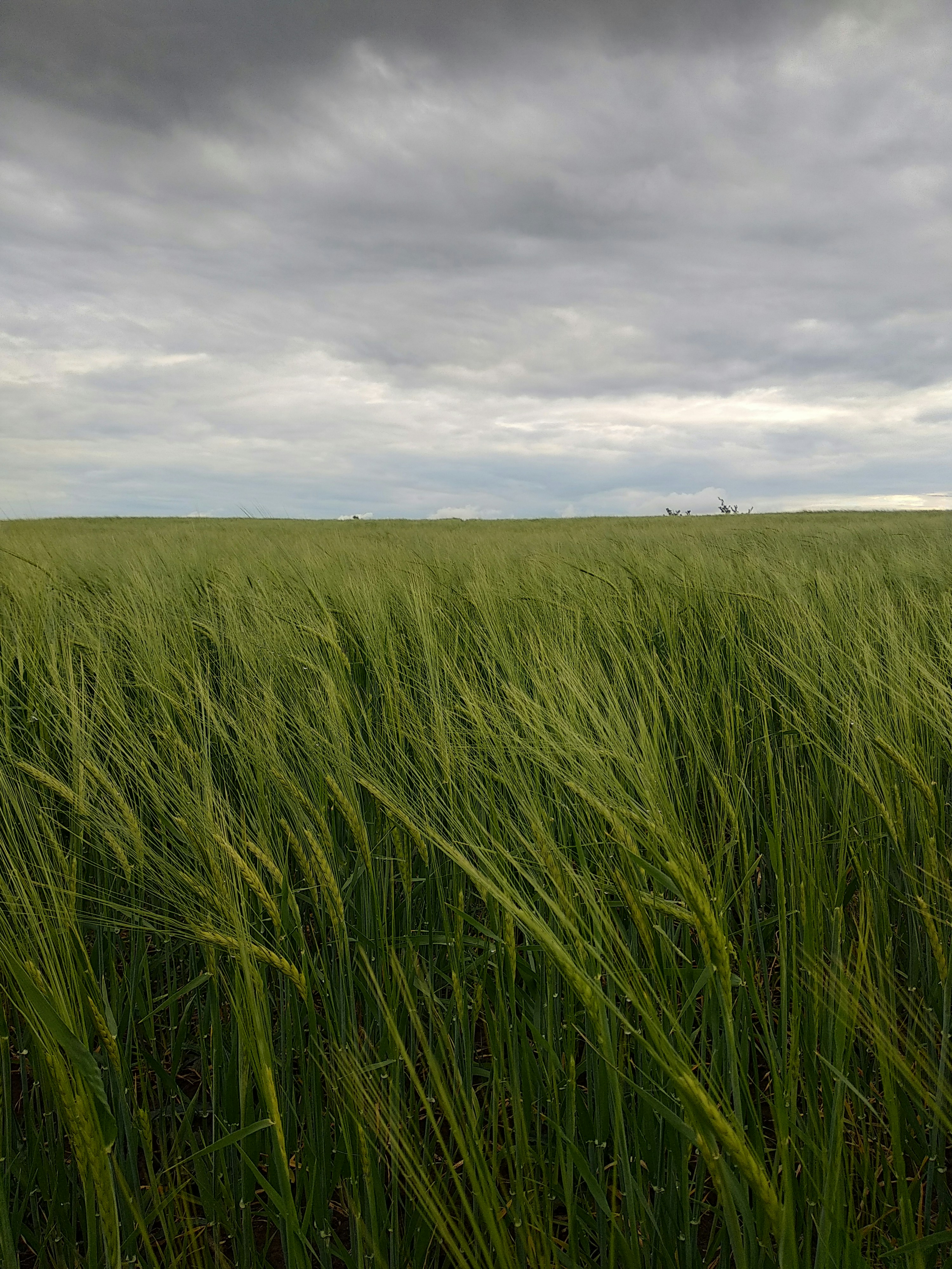 Photo by spica_yefimovska