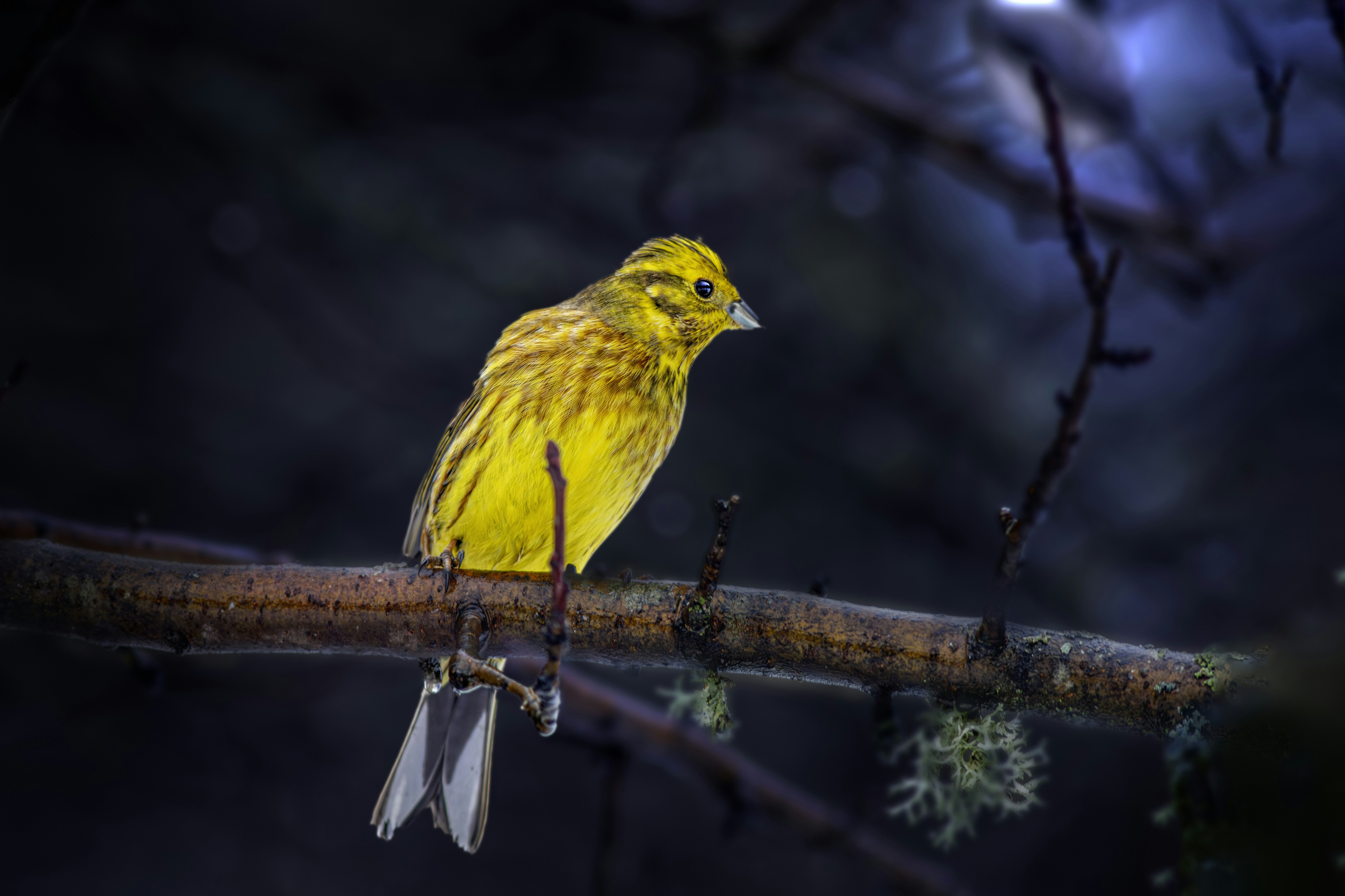 Photo by erik_karits