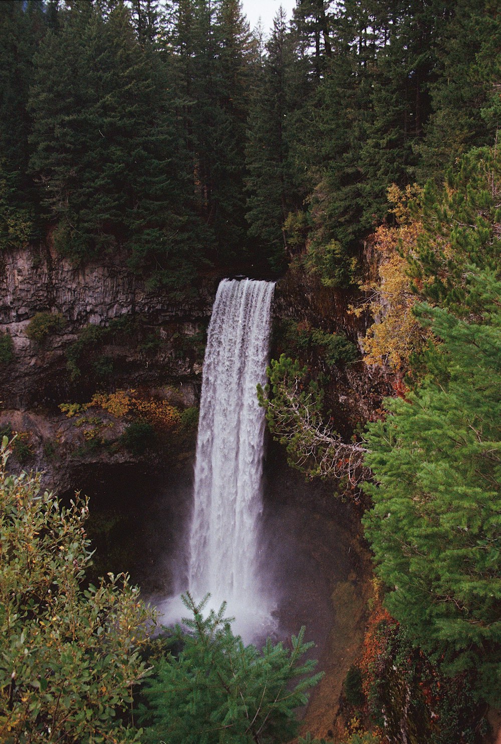 a large waterfall in the middle of a forest