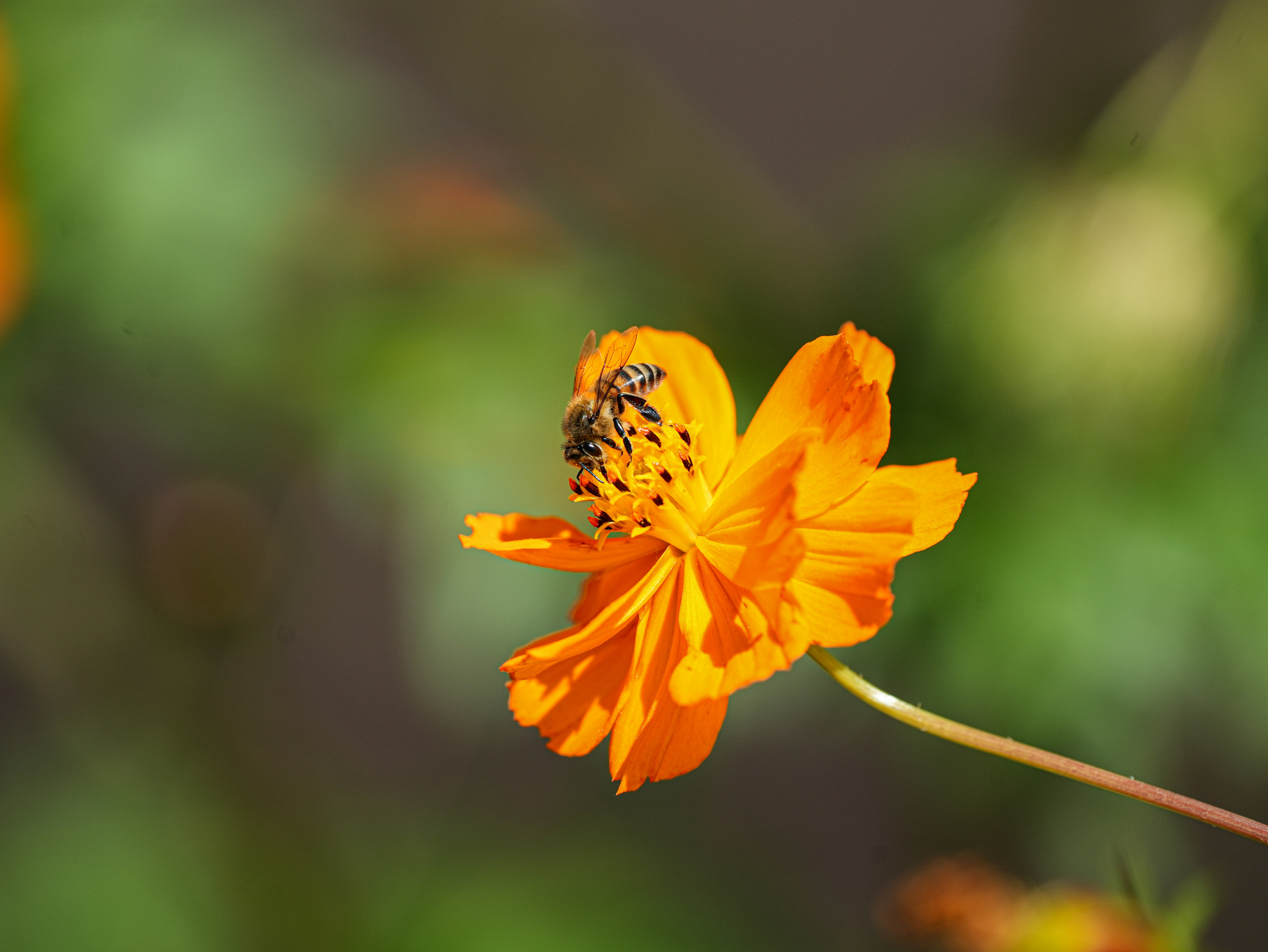 Photo by cestmoisheedy