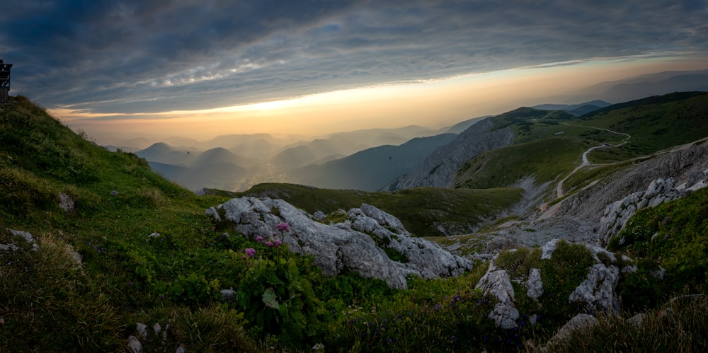 a man standing on top of a lush green hillside