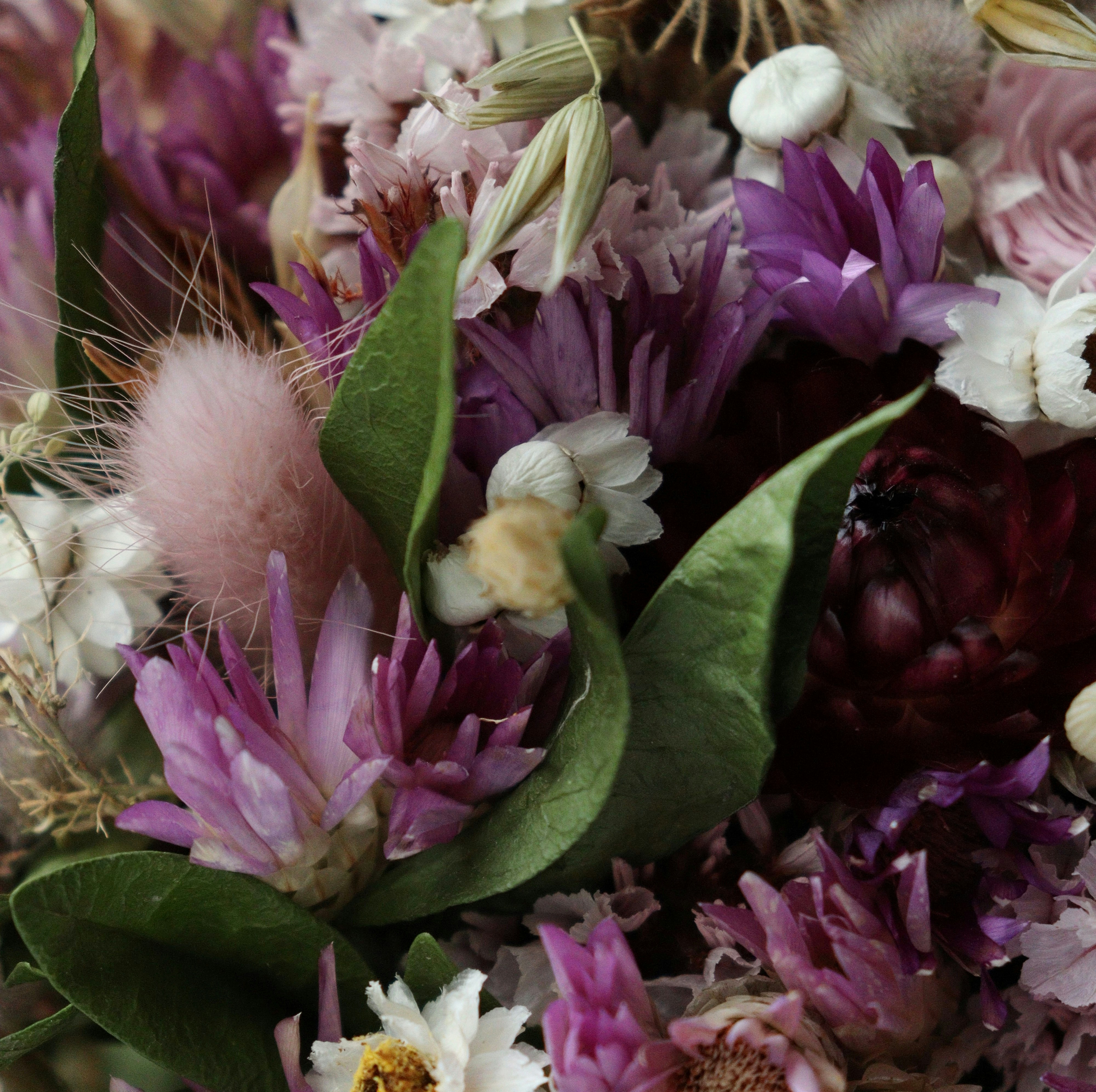 Photo by fridaflowers