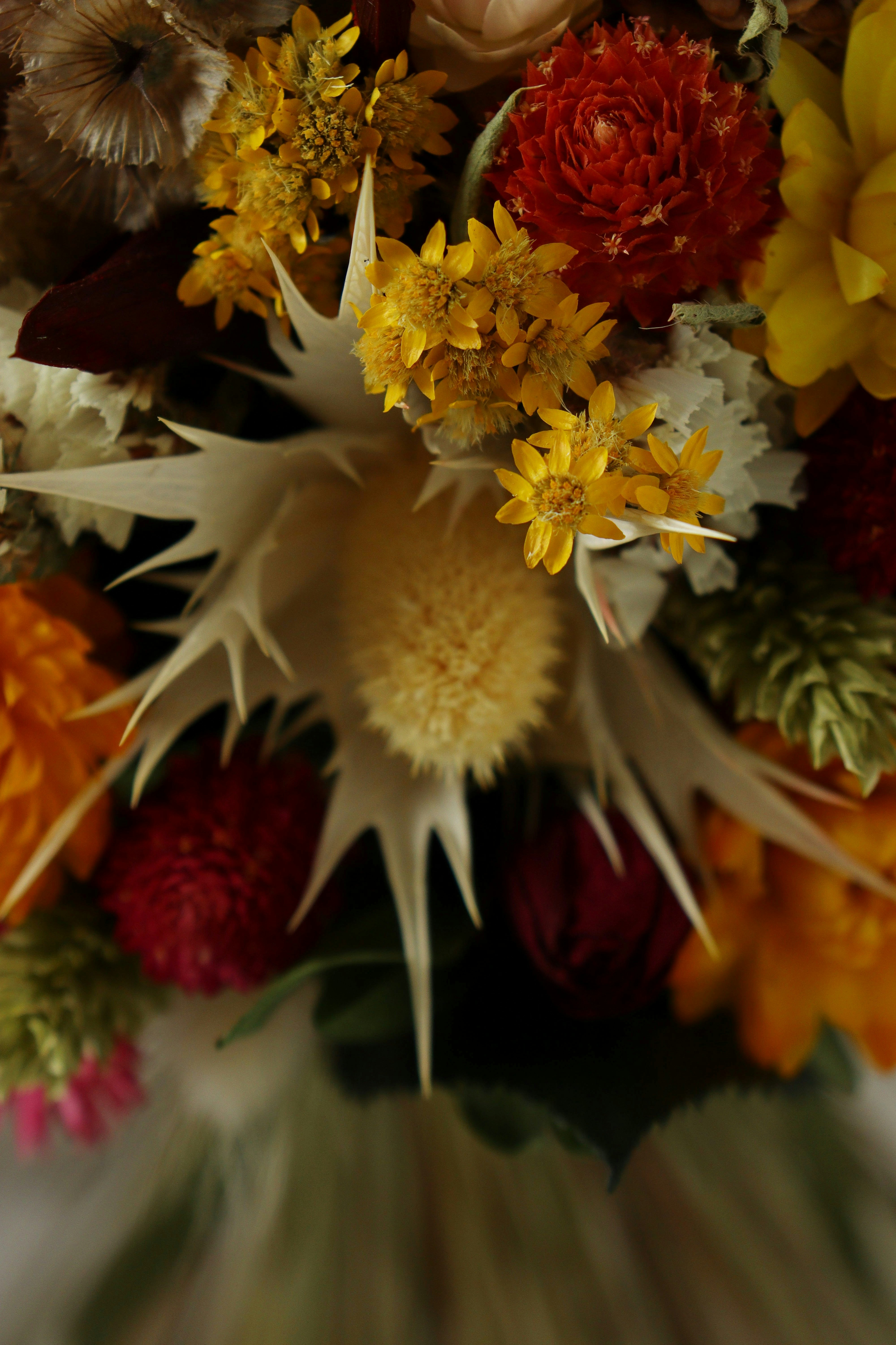 Photo by fridaflowers