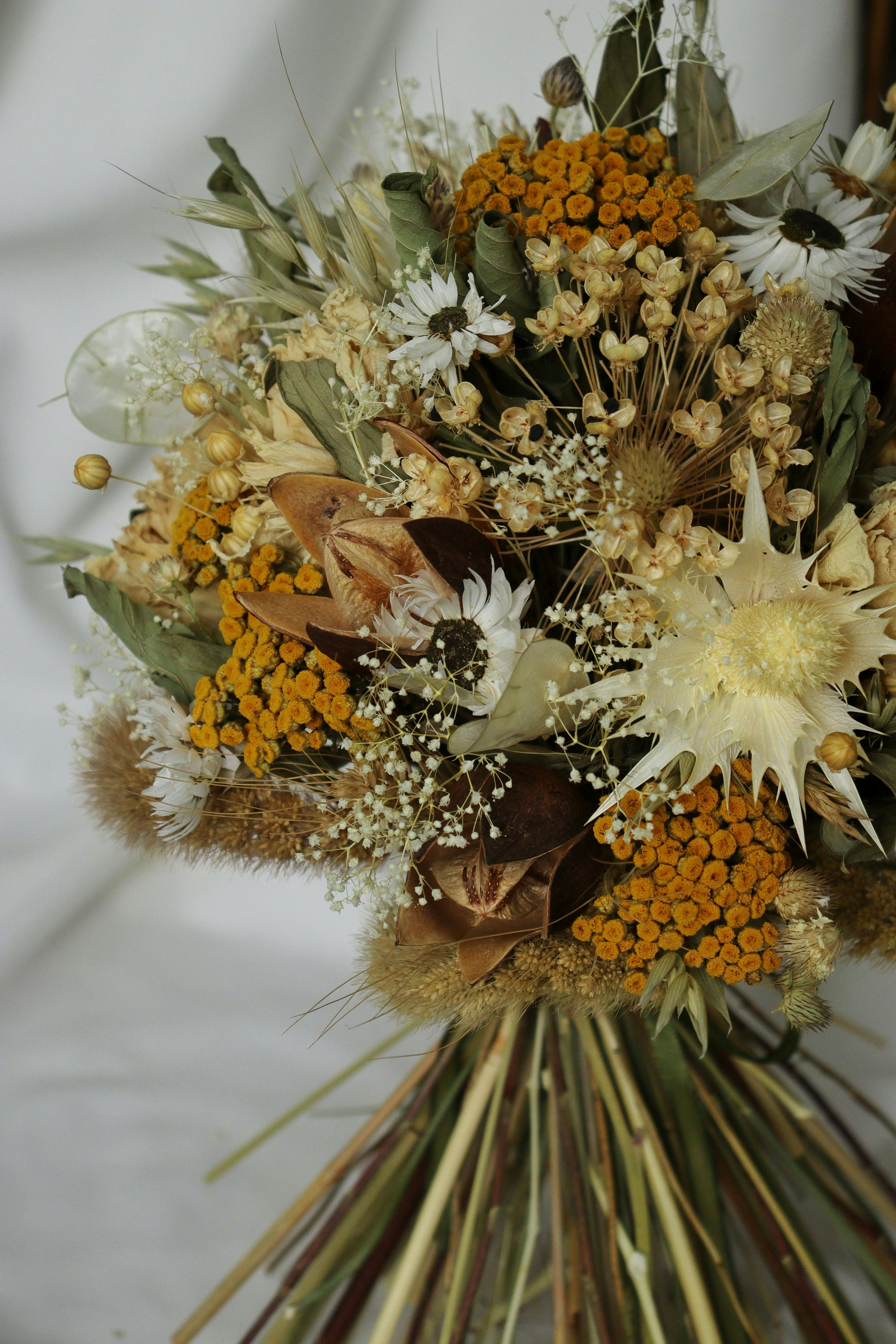 Photo by fridaflowers