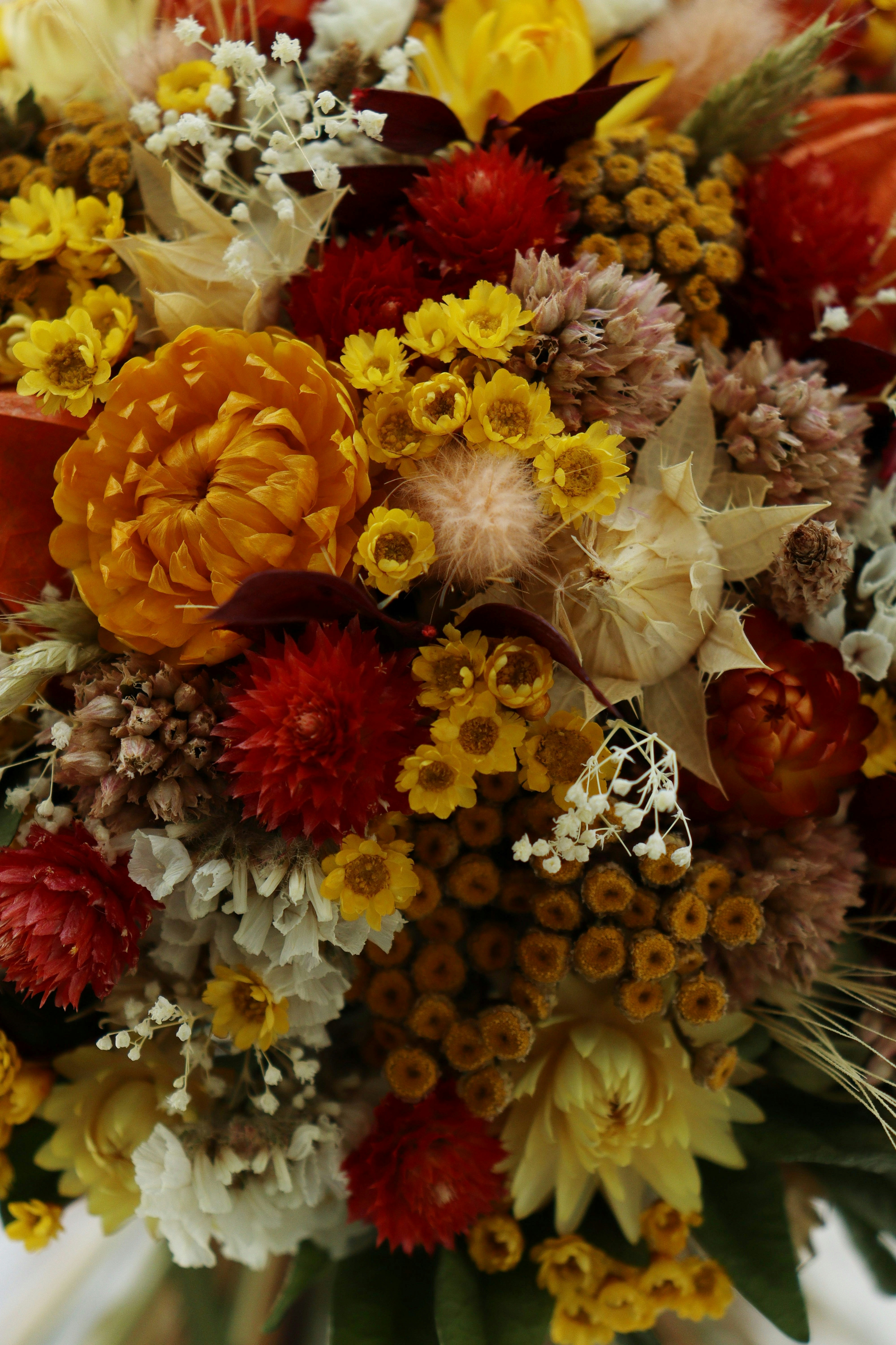 Photo by fridaflowers