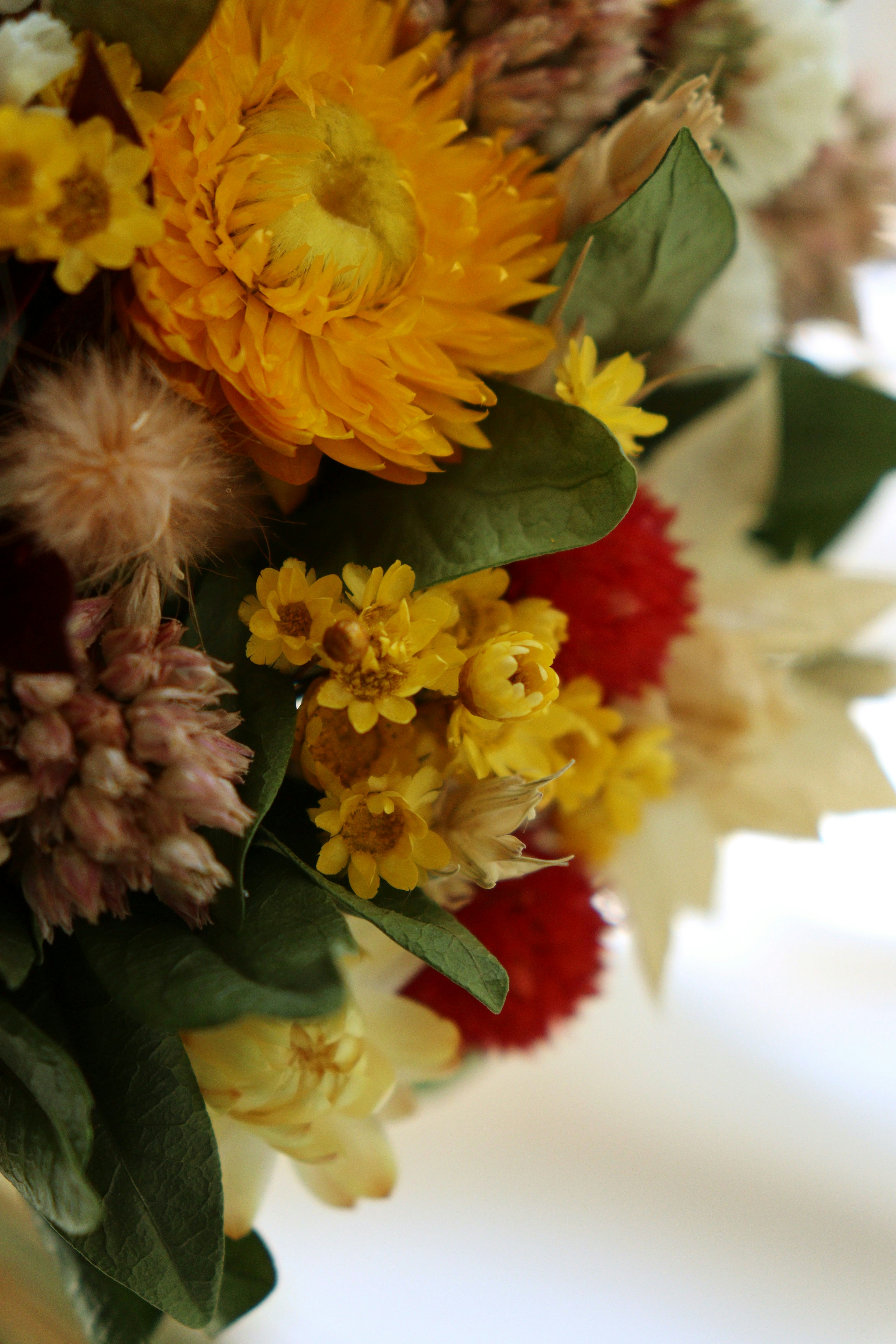 Photo by fridaflowers