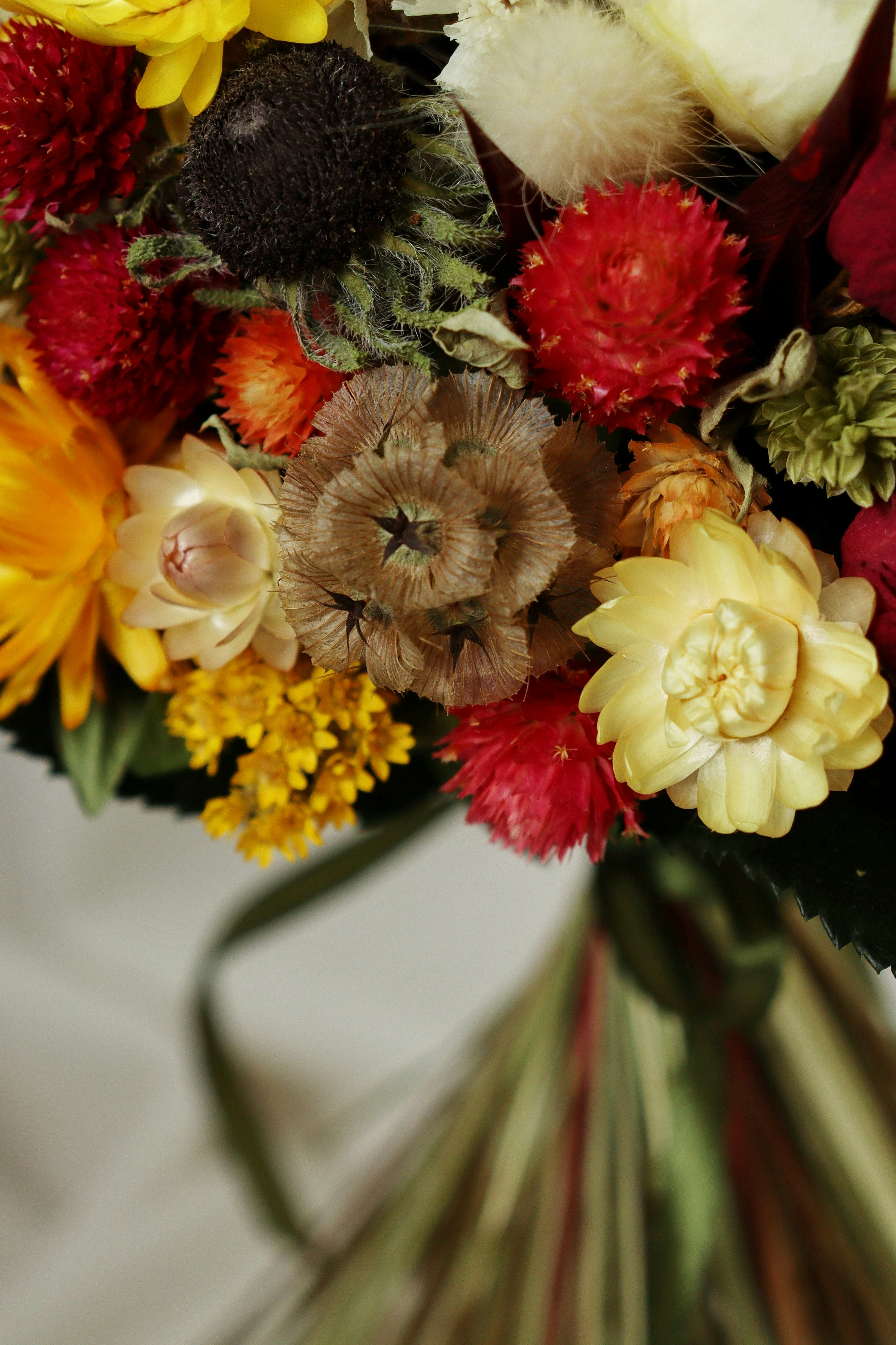 Photo by fridaflowers