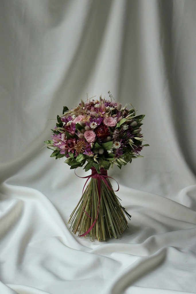 Carnation Whisper