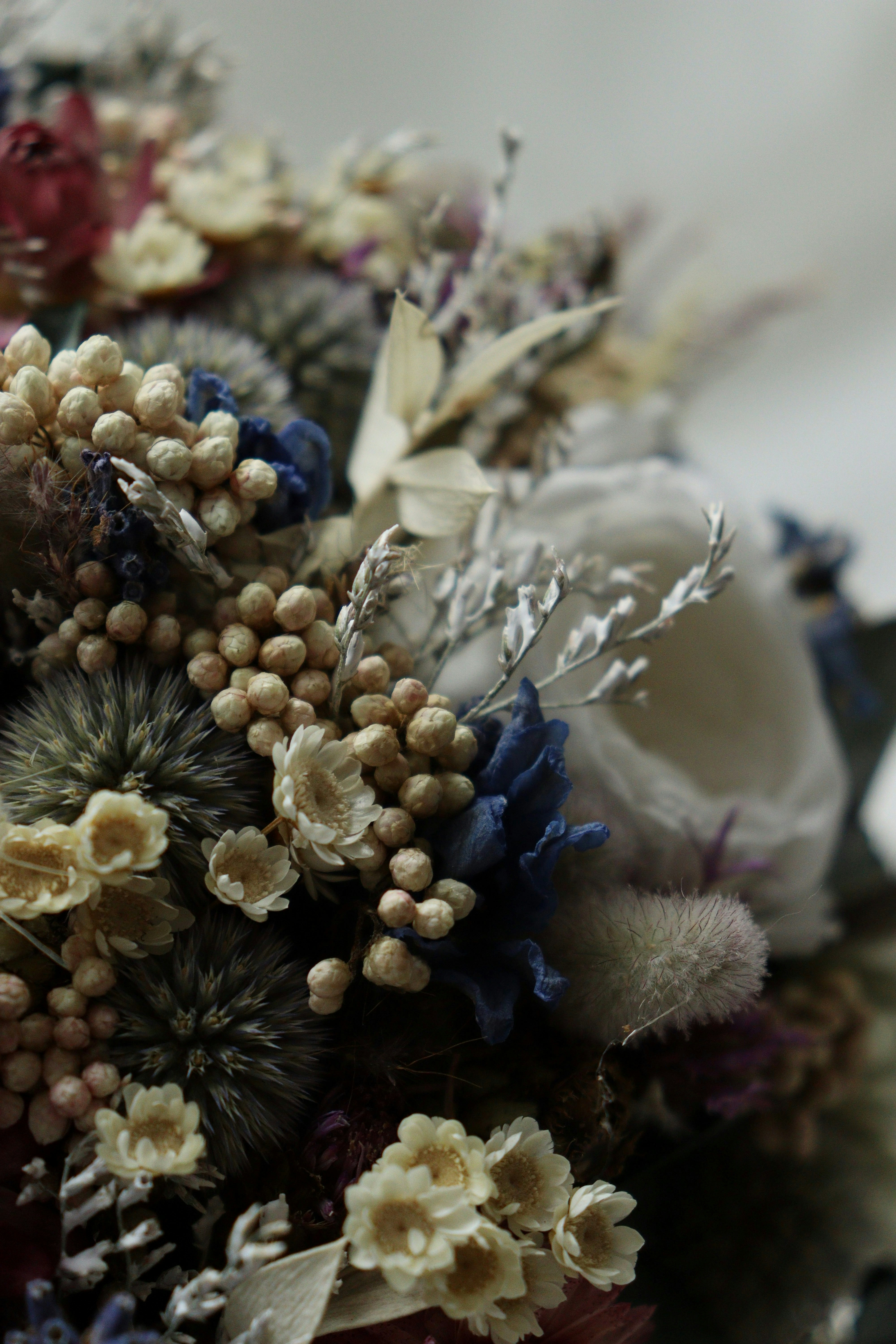 Photo by fridaflowers