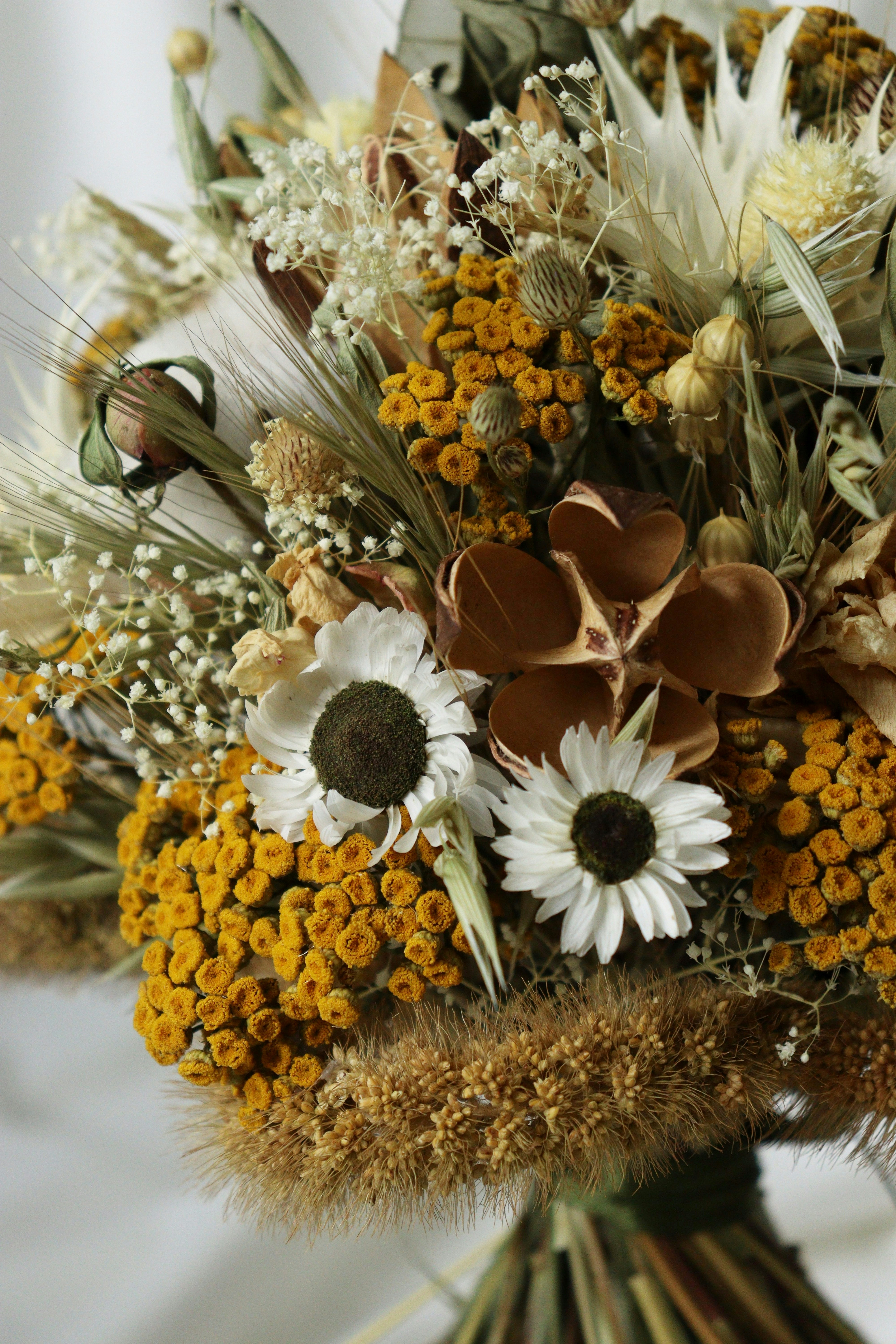 Photo by fridaflowers