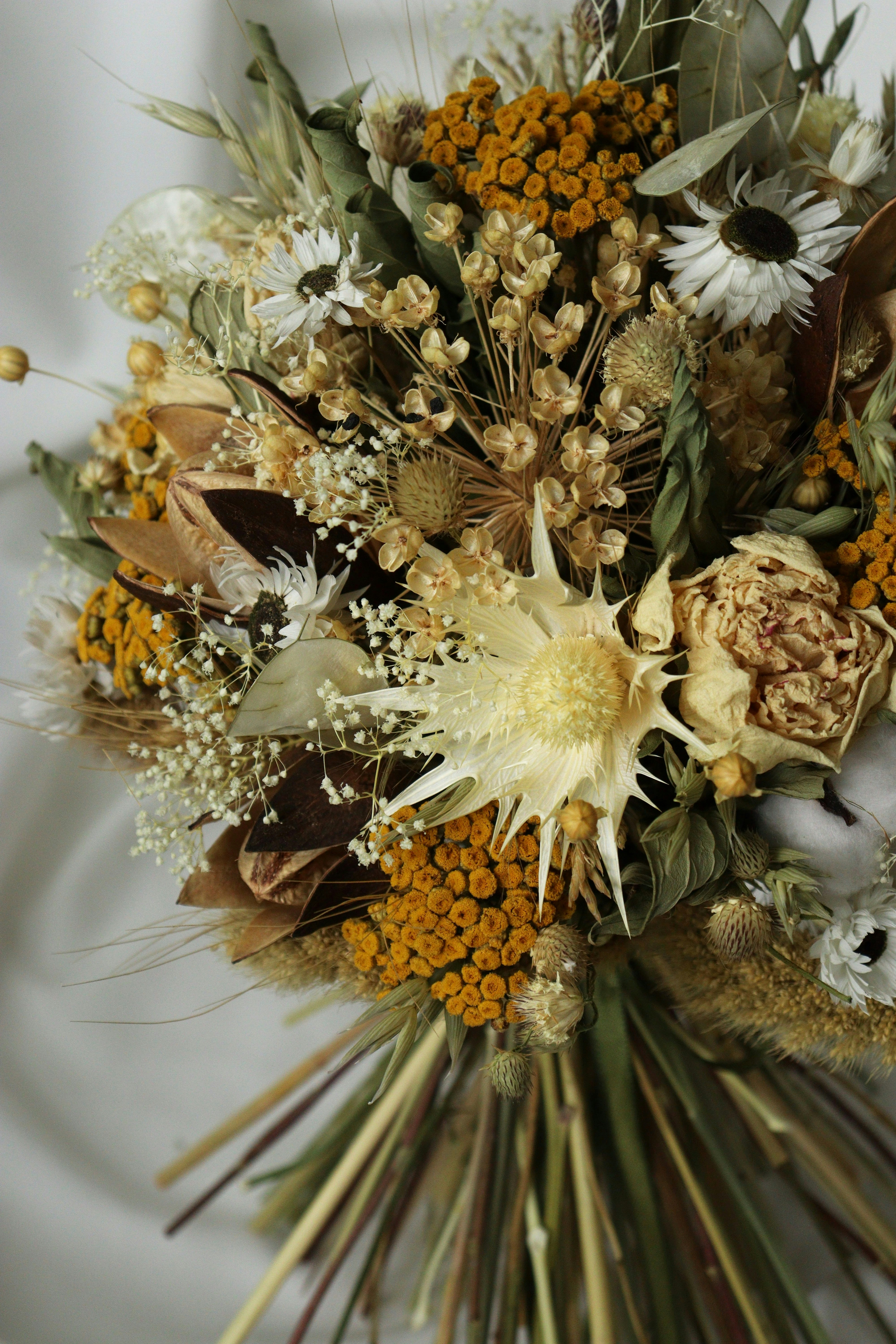 Photo by fridaflowers