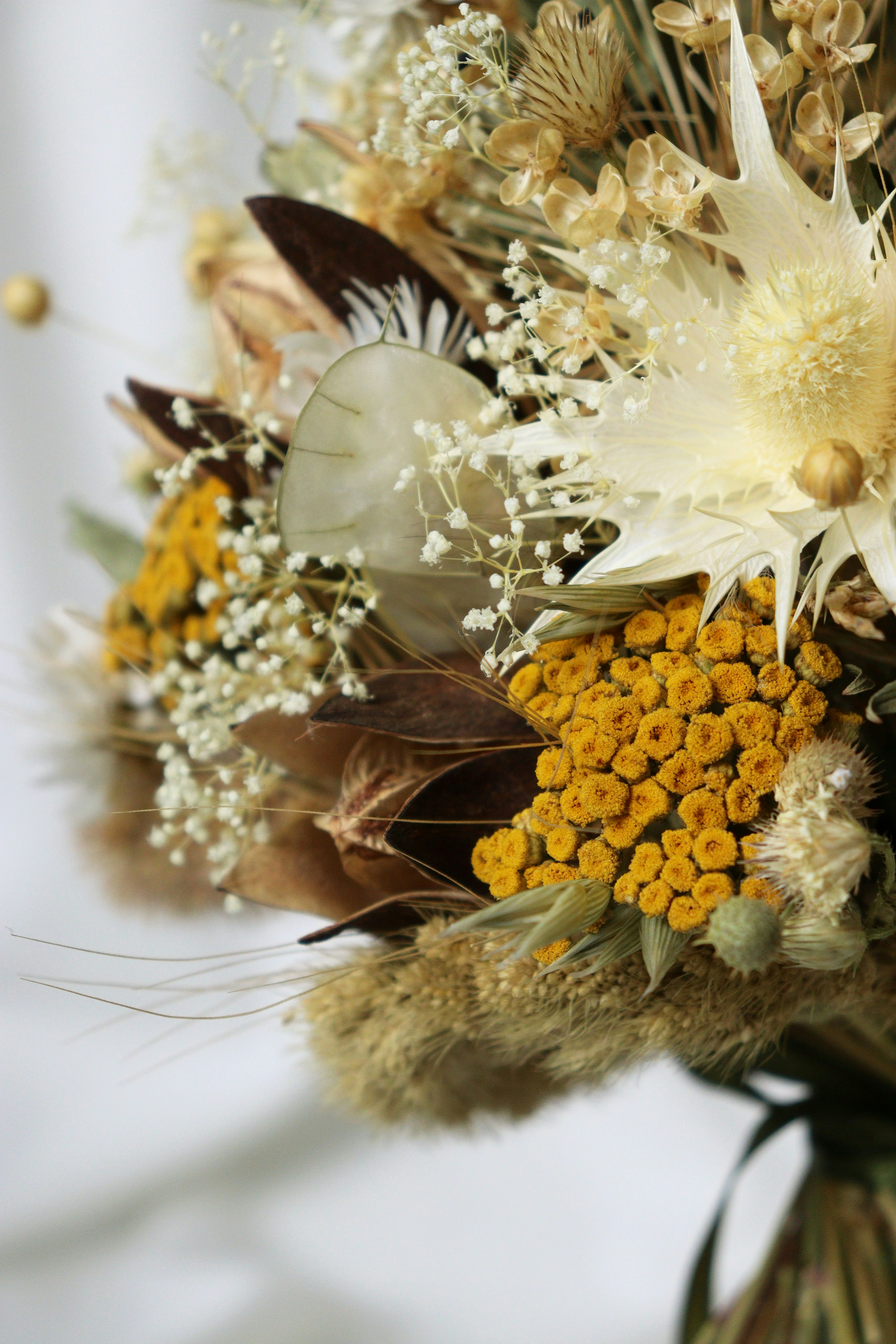 Photo by fridaflowers