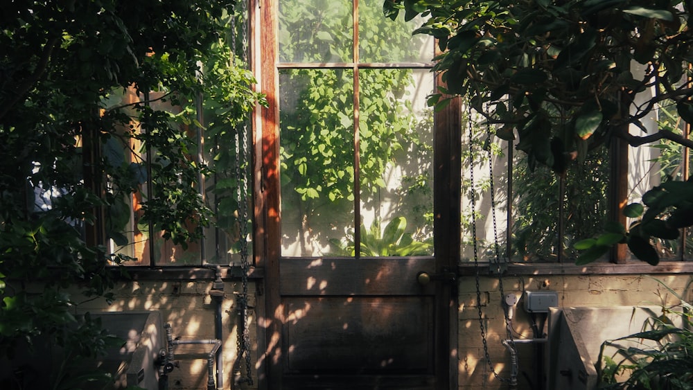 a wooden door surrounded by plants and trees
