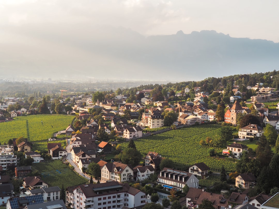 a town with a green field in the background, Gentle and soft sunlight shines on the fields and the city of Vaduz.