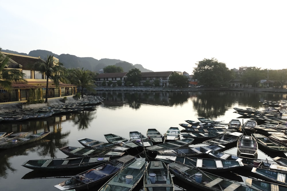 a large body of water filled with lots of boats