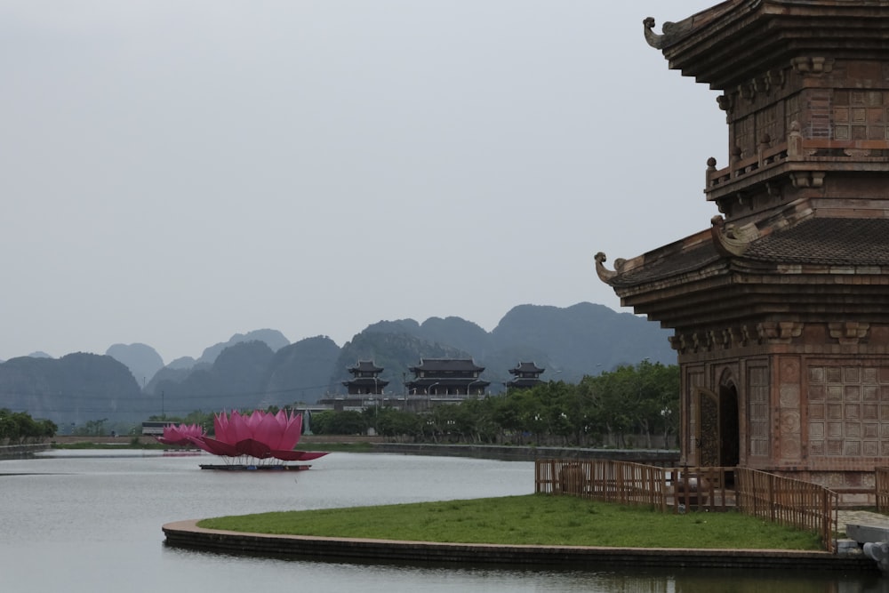 a large pink flower sitting in the middle of a lake