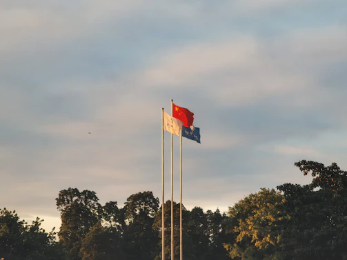 A diplomatic meeting with flags of China and other countries in the background.