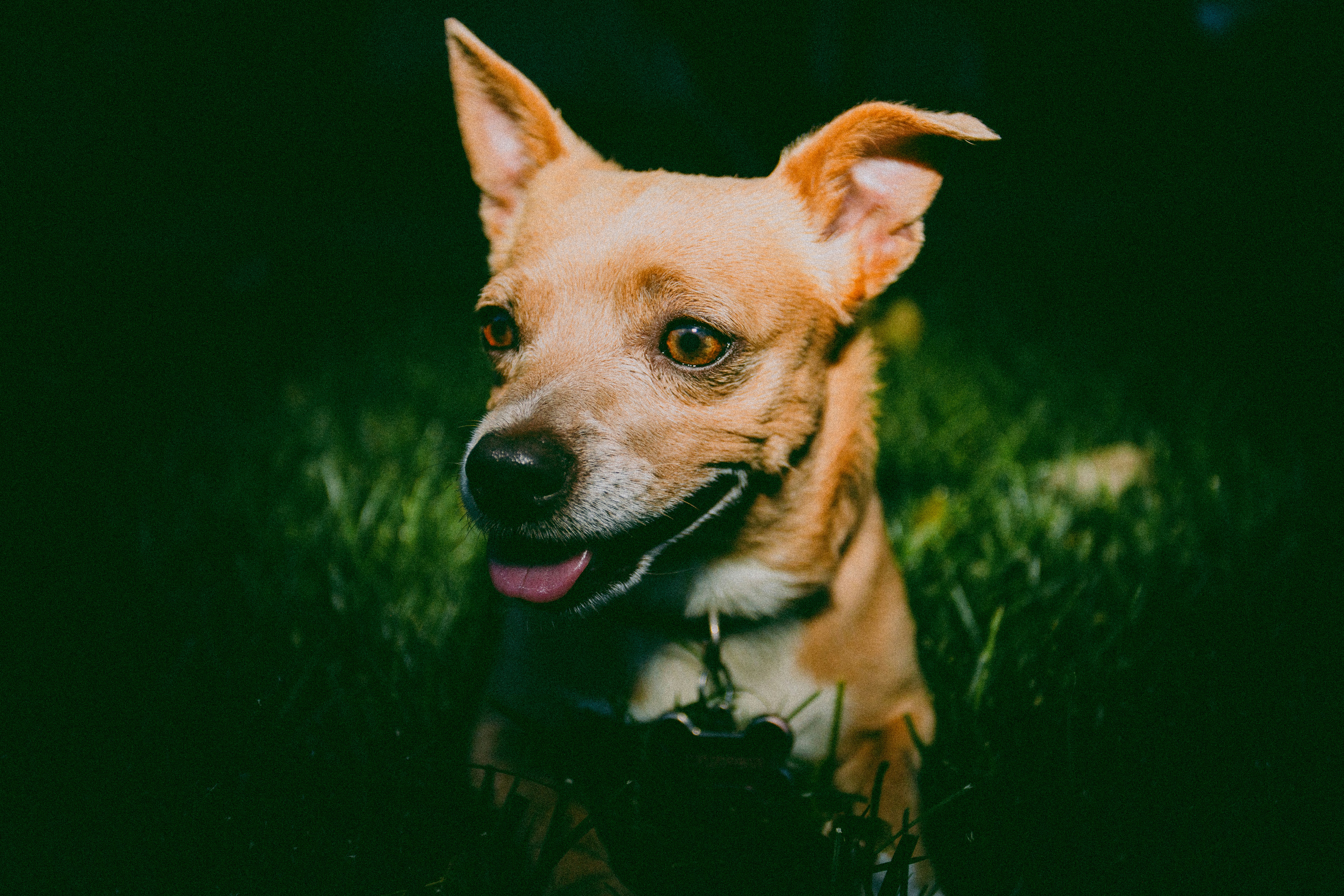 Photo by photosoflogan