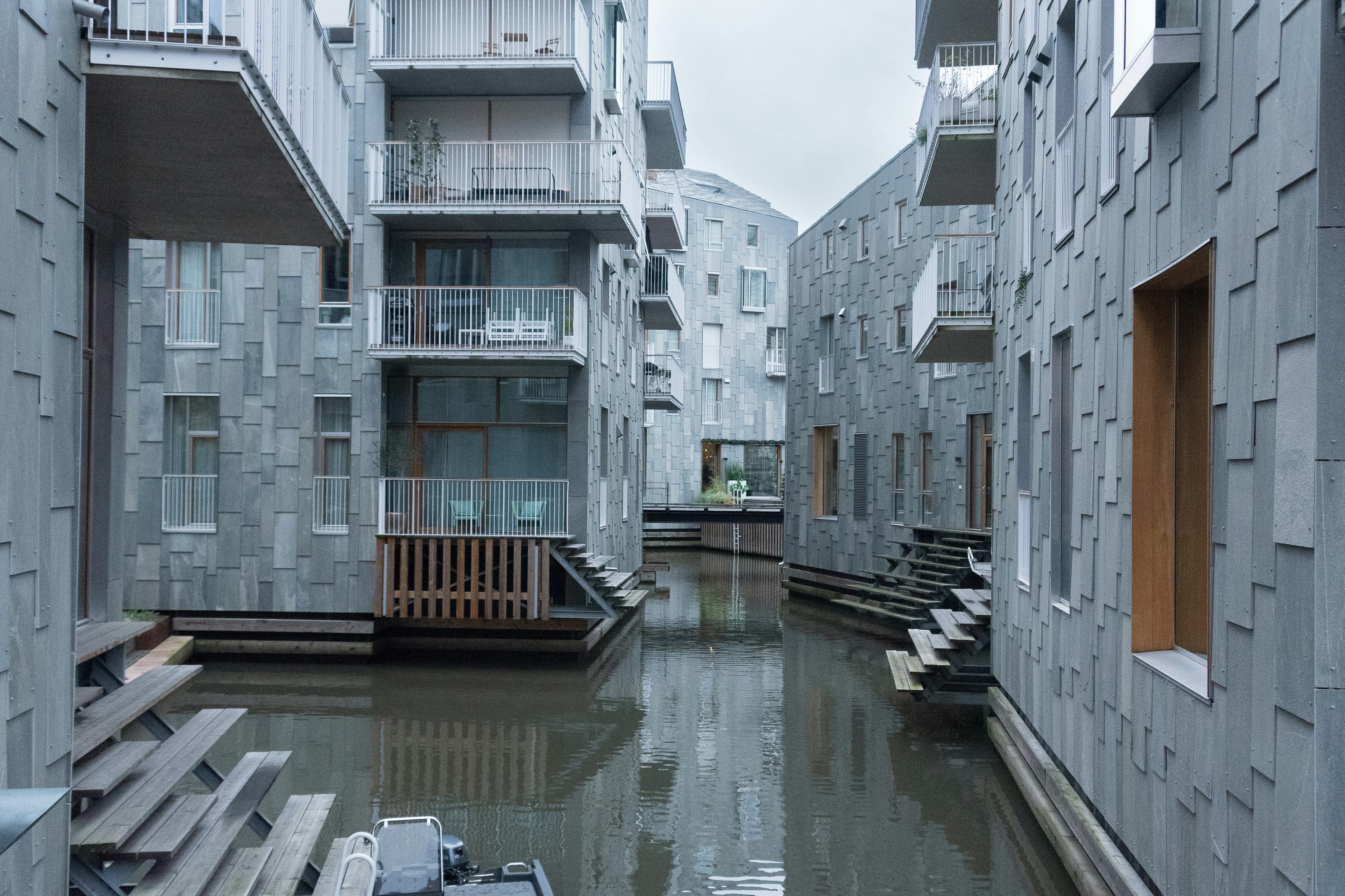 Photo by translytranslations