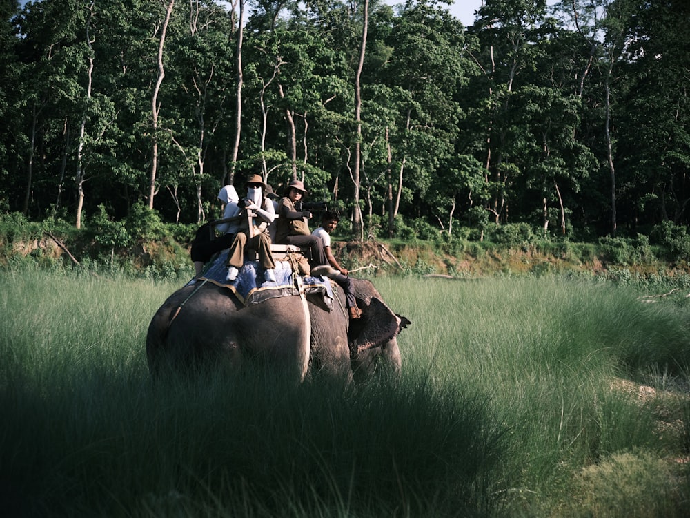 a group of people riding on the back of an elephant