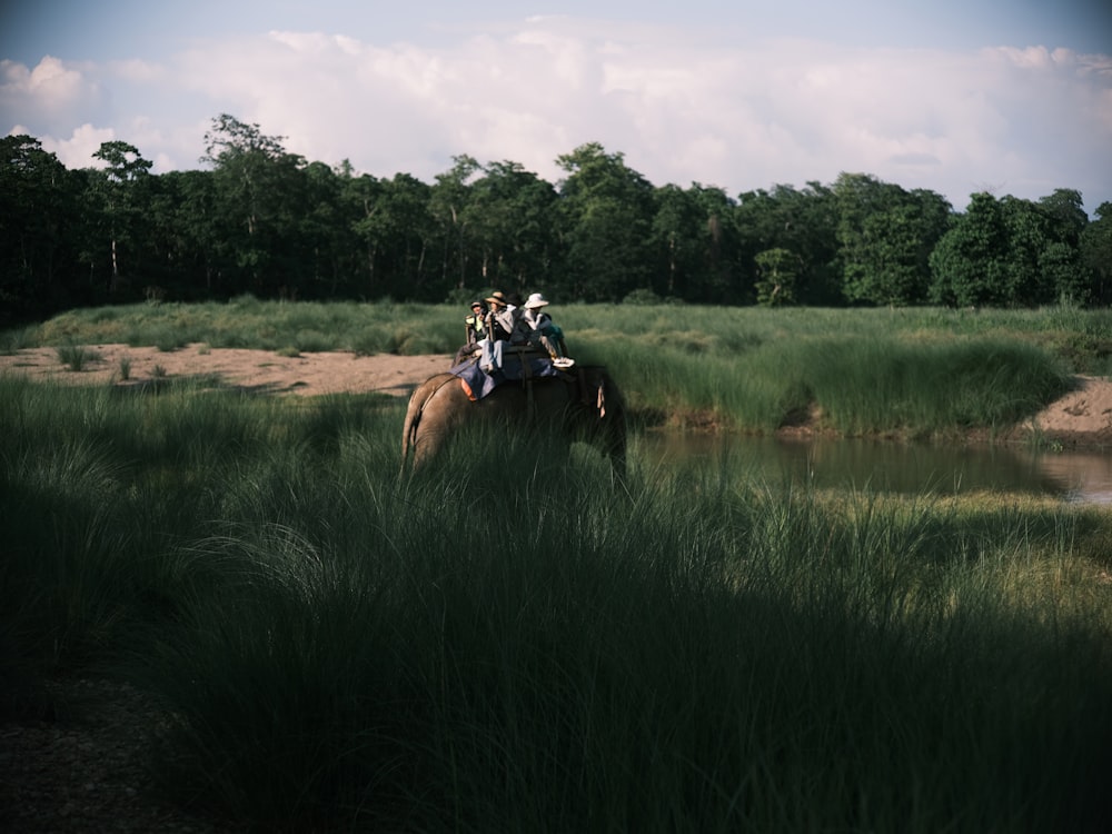 a group of people riding on the back of a brown horse