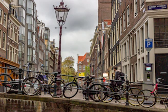 City tour Amsterdam avec un guide francophone tour privee