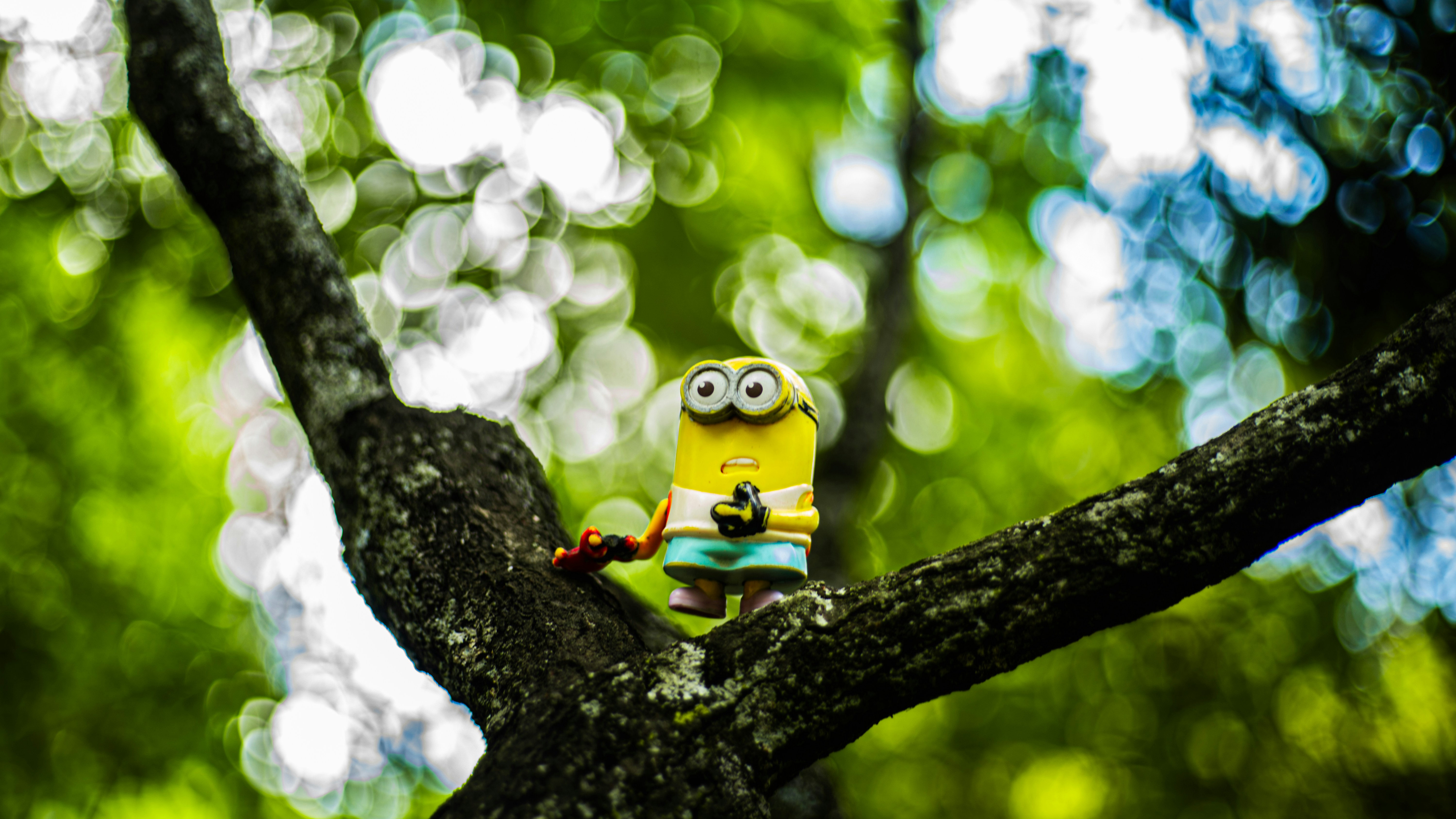 Photo by alekseyryan