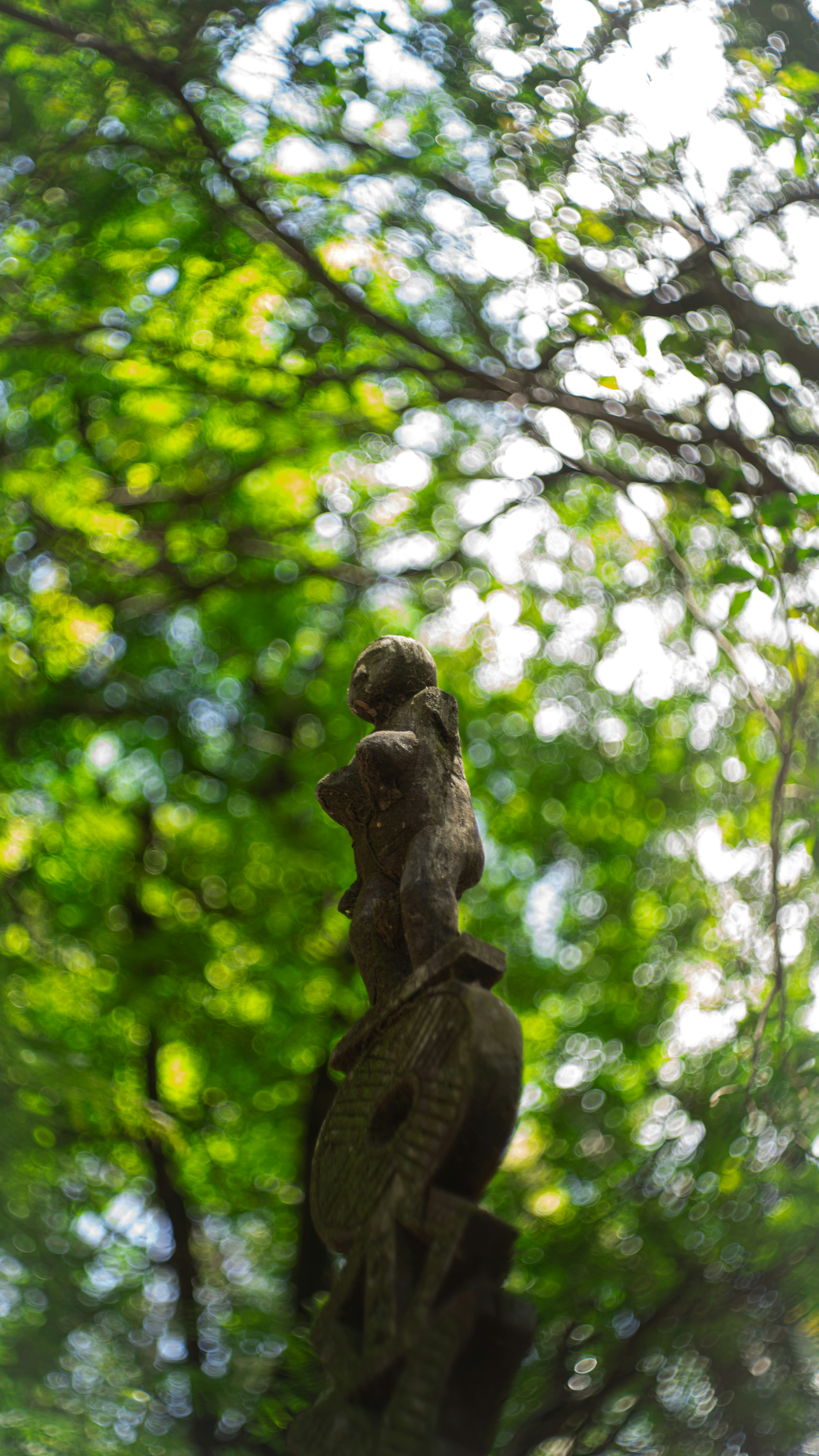 Photo by alekseyryan