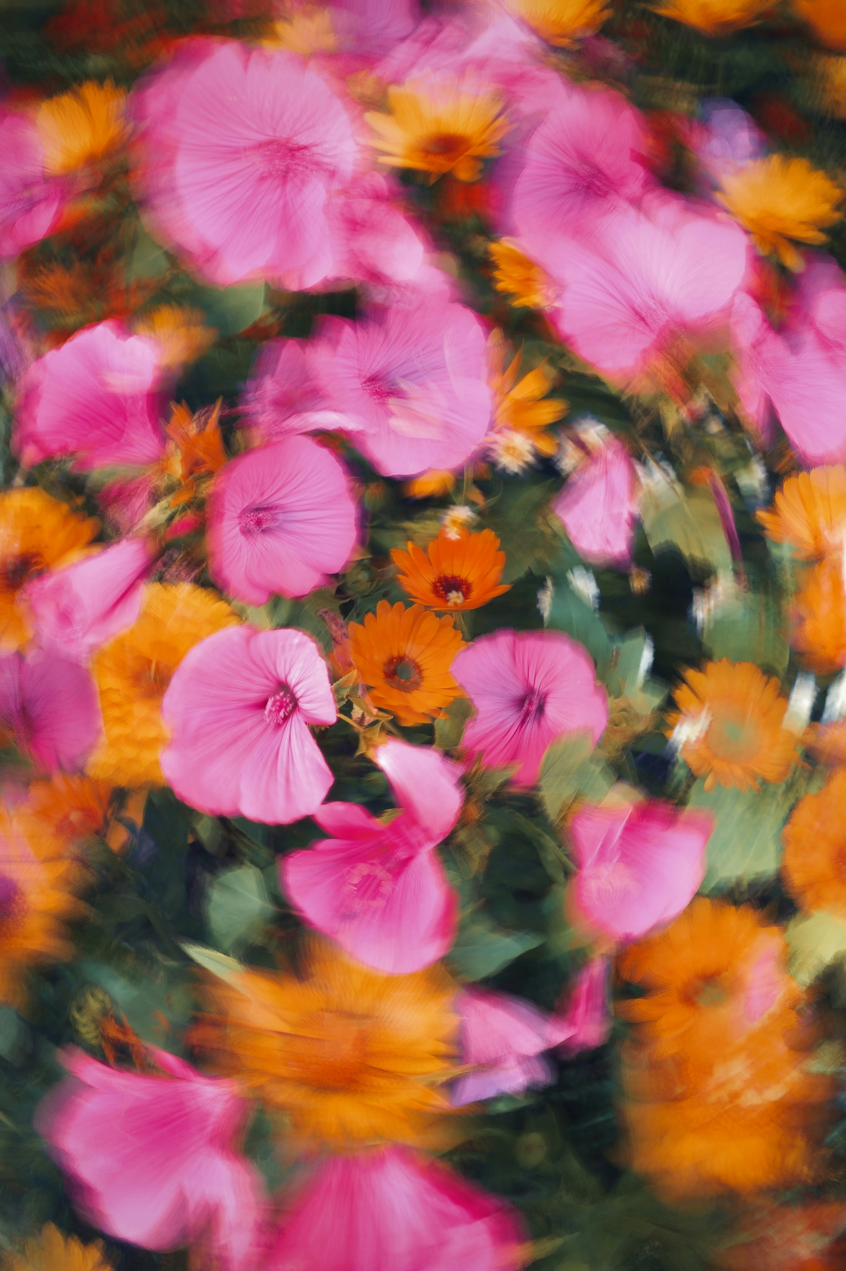 Photo by eugene_golovesov