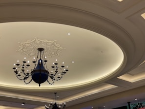 Ceiling with intricate plaster molding and soft ambient lighting.